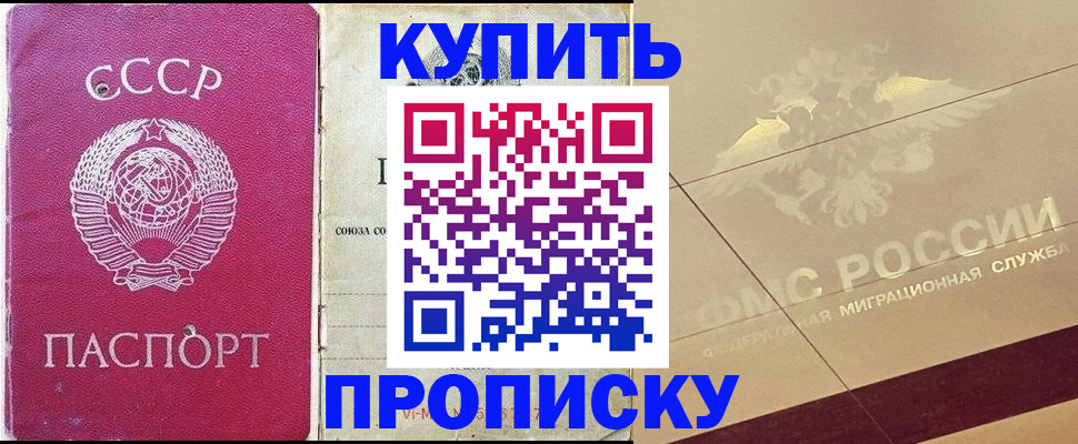 прописка для школы в Шатуре